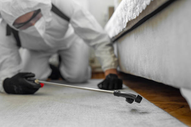 Professional Pest Control technician working in Valdese, NC